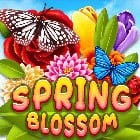 Spring Blossom